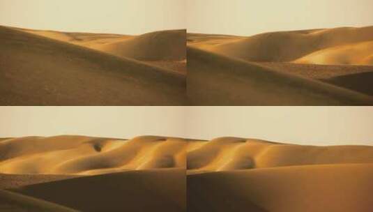 金色沙漠高清在线视频素材下载