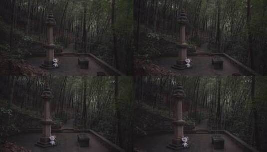杭州西湖景区虎跑公园森林氧吧高清在线视频素材下载