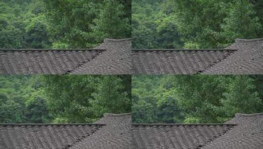 中景屋顶老房子高清在线视频素材下载