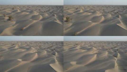 原创 新疆巴音郭楞塔克拉玛干沙漠干旱地带高清在线视频素材下载