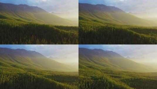 美丽的山和森林高清在线视频素材下载