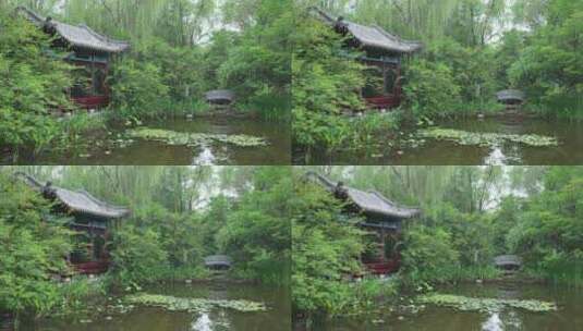 武汉硚口区园博园济南园风景高清在线视频素材下载
