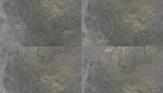 秋天的大山LOG高清在线视频素材下载