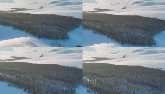 大兴安岭林区树林地带雾凇雪景高清在线视频素材下载