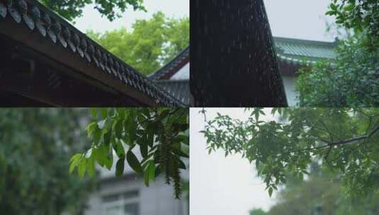 春天谷雨惊蛰古建筑绿植空镜下雨雨景降格高清在线视频素材下载