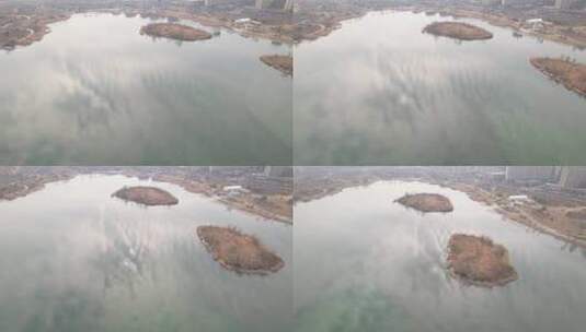 山东济南华山湖湿地秋冬候鸟航拍高清在线视频素材下载