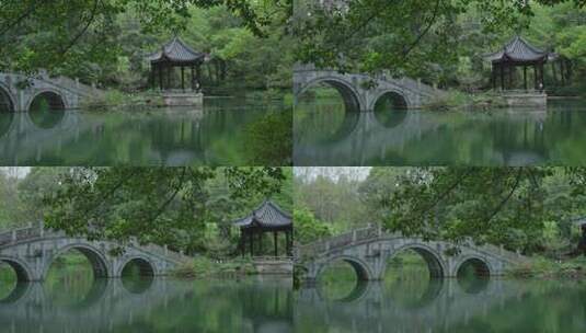 春天杭州花港观鱼阴雨天小桥绿色自然高清在线视频素材下载