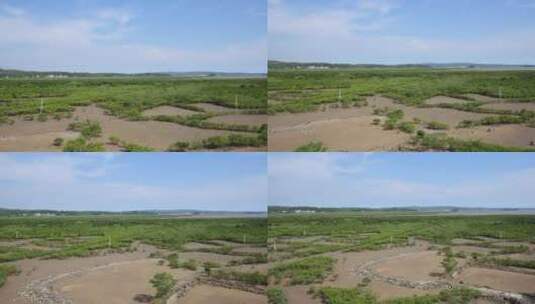 h广西北仓河口湿地滩涂航拍高清在线视频素材下载