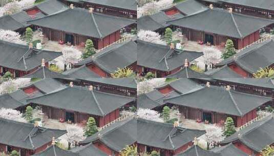 广富林文化遗址高清在线视频素材下载