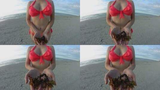 海滩上穿着比基尼的女人拿着海草高清在线视频素材下载