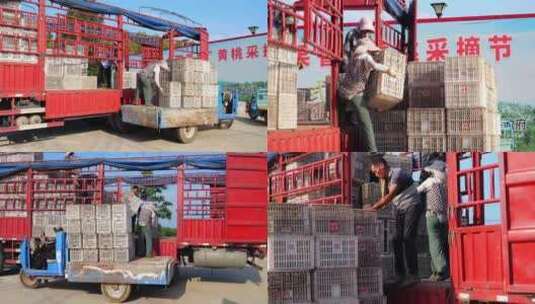 搬运 人工 劳动力 农民卸货 筐子塑料筐高清在线视频素材下载