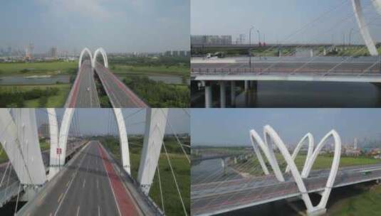 西咸新区镐京大桥沣河生态公园高清在线视频素材下载