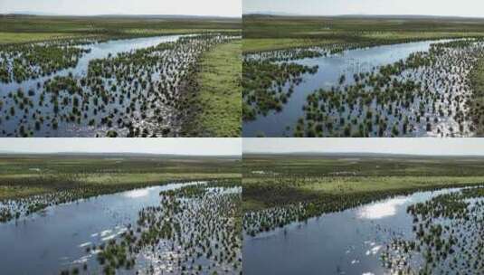 挠力河国家级自然保护区湿地航拍高清在线视频素材下载