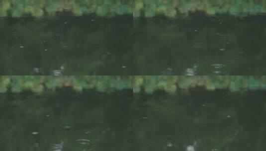雨季水面雨景湖面雨滴高清在线视频素材下载