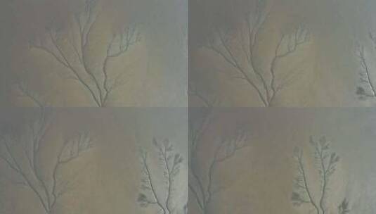 浙江省杭州市钱塘江钱江潮大地之树航拍高清在线视频素材下载