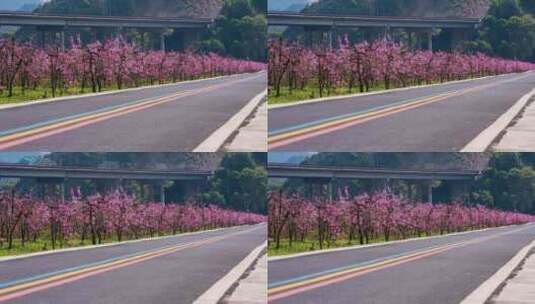 春季桃花自然花期粉色唯美延时农业种植果园高清在线视频素材下载