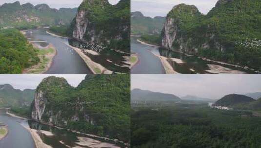 桂林漓江上飞翔的鸟群航拍高清在线视频素材下载