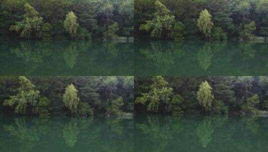 森林中碧绿色的湖水高清在线视频素材下载