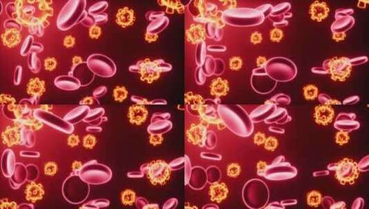 病毒与红细胞医疗生物概念动画高清在线视频素材下载