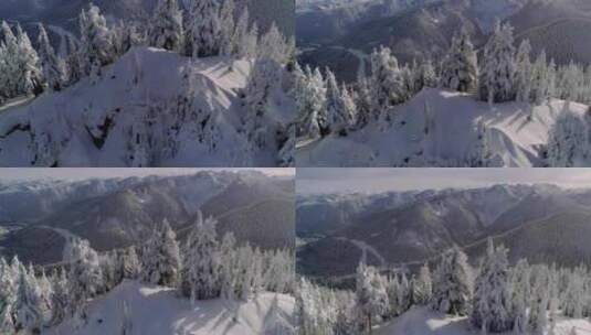 航拍雪地雪山雪松雪景森林山脉山峰高清在线视频素材下载