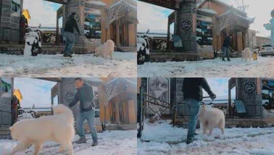 云南景点香格里拉冬季藏区街道雪景小狗高清在线视频素材下载