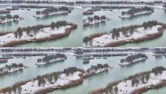 航拍湿地公园雪景树林湖岛高清在线视频素材下载