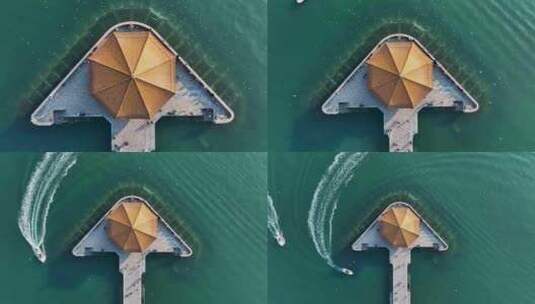 青岛栈桥海鸥航拍高清在线视频素材下载