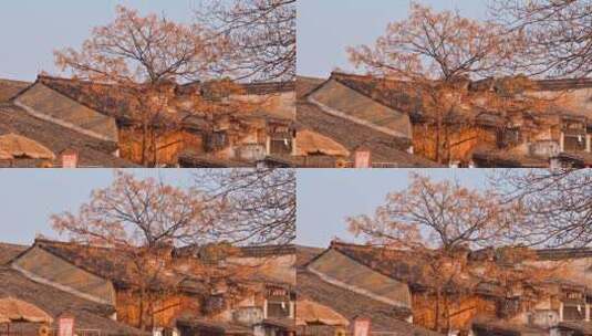 安昌古镇冬季风景高清在线视频素材下载
