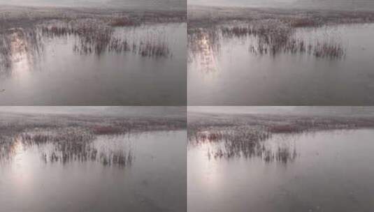 冬季荒原结冰的湖面倒映日落夕阳芦苇花高清在线视频素材下载