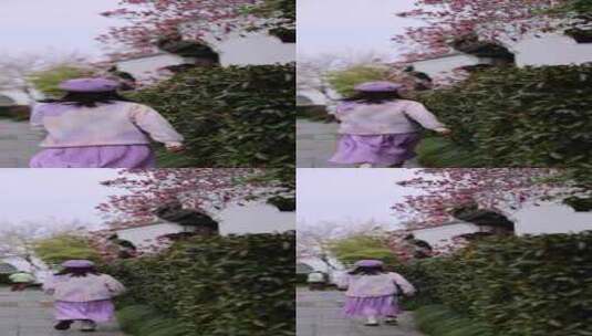 （慢镜）古风建筑紫玉兰美女奔跑唯美背影高清在线视频素材下载