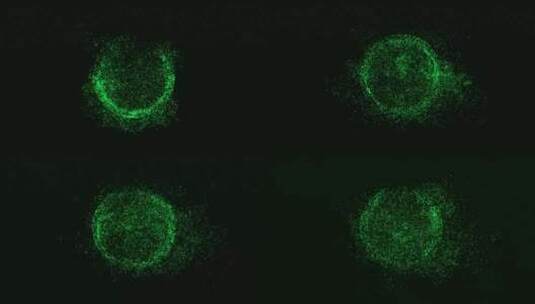 绿色粒子高清在线视频素材下载