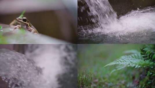 河流 水流   下雨天 树叶 水滴 下雨高清在线视频素材下载