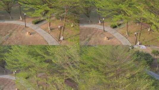 春天绿树下的小径航拍高清在线视频素材下载