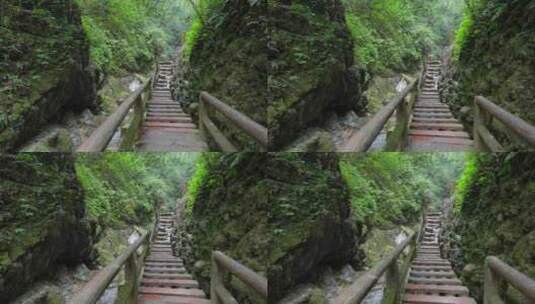 成都青城山后山峡谷森林步道溪流自然景观高清在线视频素材下载