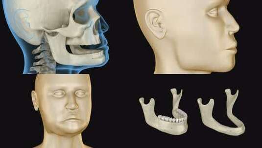 下颌下颌，牙齿脱落后骨退缩。高清在线视频素材下载