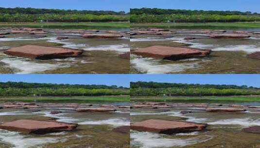 河滩激流树林自然风景高清在线视频素材下载