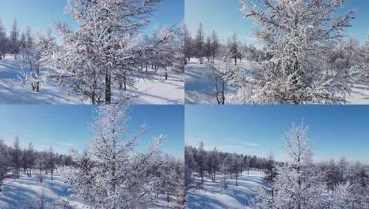 冰雪覆盖树木的冬日雪景高清在线视频素材下载