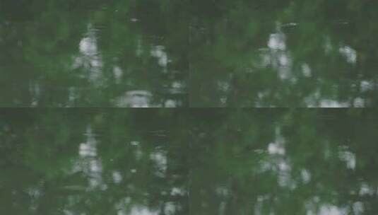 雨景湖面雨滴树林倒影高清在线视频素材下载