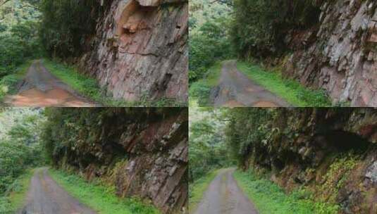 云南风光普洱亚热带原始森林石壁小路高清在线视频素材下载