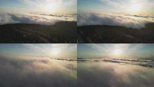 航拍云雾森林云海翻滚平流云高清在线视频素材下载