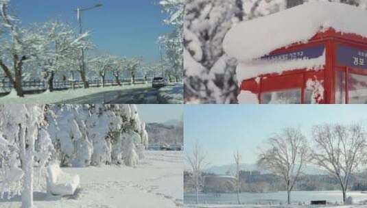 下雪的城市  湖边下雪 城市的冬天高清在线视频素材下载