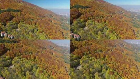 航拍秋天森林高清在线视频素材下载