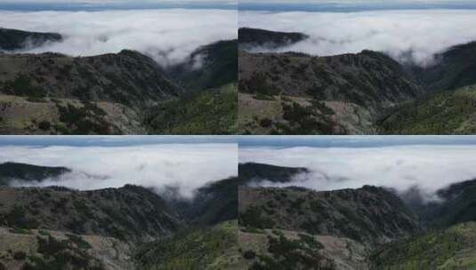 高山云海山顶云雾延时高清在线视频素材下载