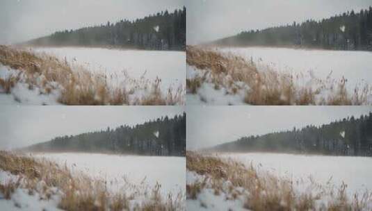 森林下雪天风景雪景唯美冬天下雪天大雪茫茫高清在线视频素材下载