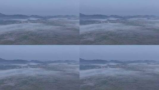 茶园平流雾航拍高清在线视频素材下载