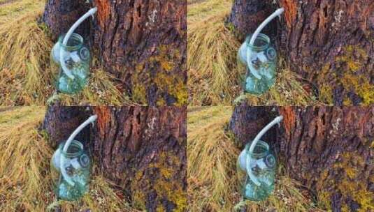 树液通过塑料管进入玻璃罐。特写。高清在线视频素材下载