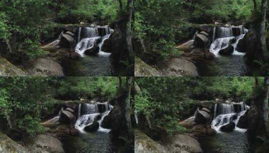 4k森林雨林小溪河流美景自然高清在线视频素材下载