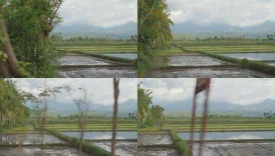 乡村稻田和丘陵景观高清在线视频素材下载