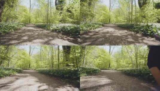一名女子在林地中慢跑高清在线视频素材下载