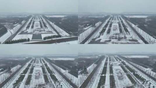 洛阳白马寺齐云塔寺院航拍雪景冬季高清在线视频素材下载